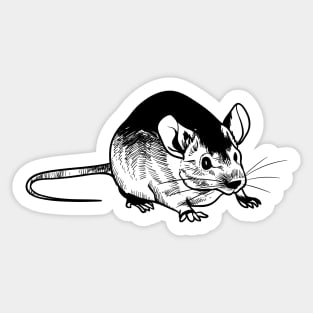 Rat Hand Drawn Sticker